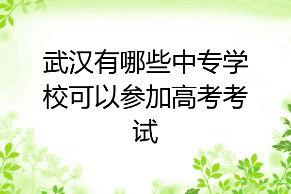 武汉有哪些中专学校可以参加高考考试