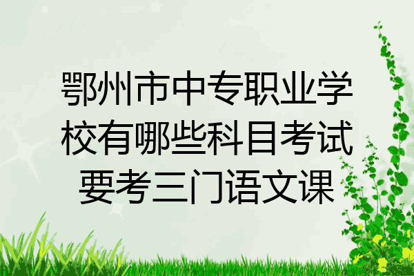 鄂州市中专职业学校有哪些科目考试要考三门语文课