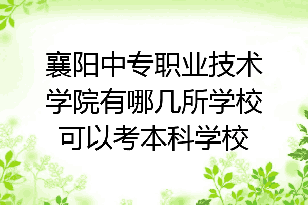 襄阳中专职业技术学院有哪几所学校可以考本科学校