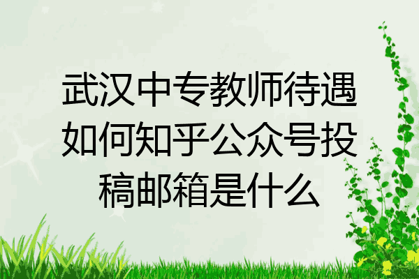 武汉中专教师待遇如何知乎公众号投稿邮箱是什么