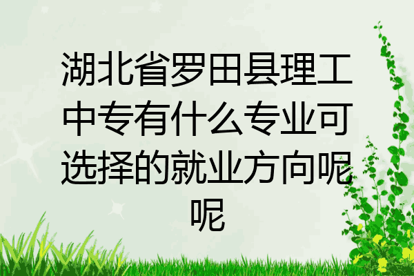 湖北省罗田县理工中专有什么专业可选择的就业方向呢呢