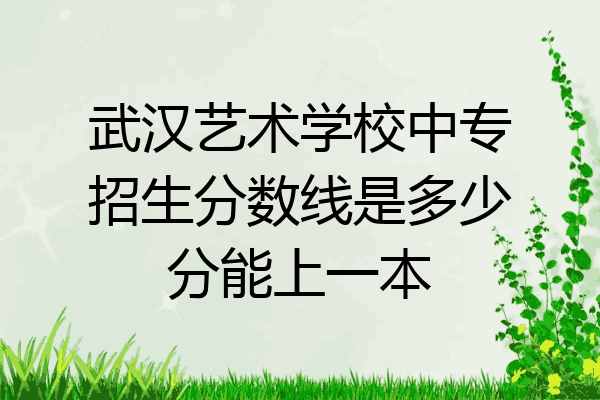 武汉艺术学校中专招生分数线是多少分能上一本