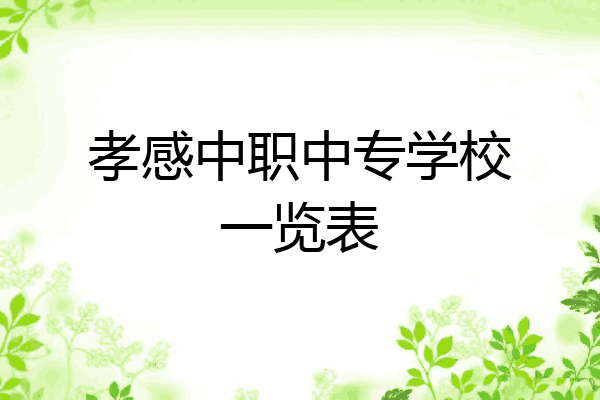 孝感中职中专学校一览表