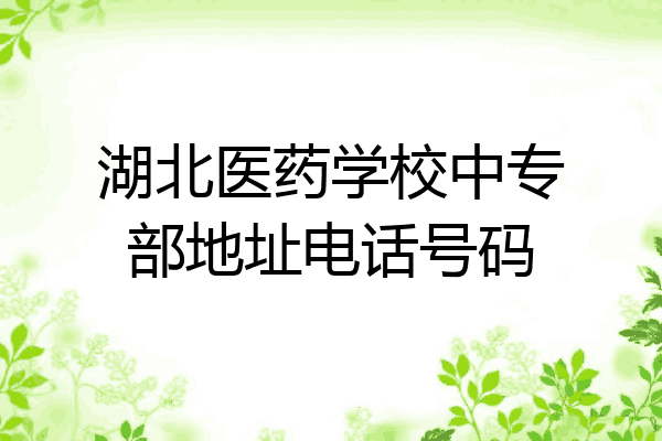 湖北医药学校中专部地址电话号码