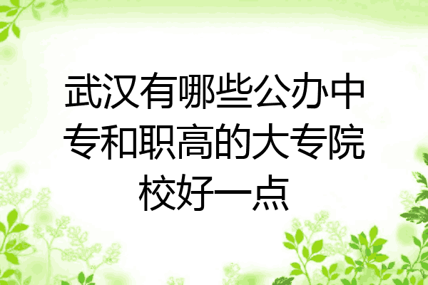 武汉有哪些公办中专和职高的大专院校好一点