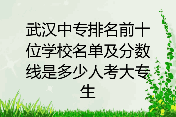 武汉中专排名前十位学校名单及分数线是多少人考大专生