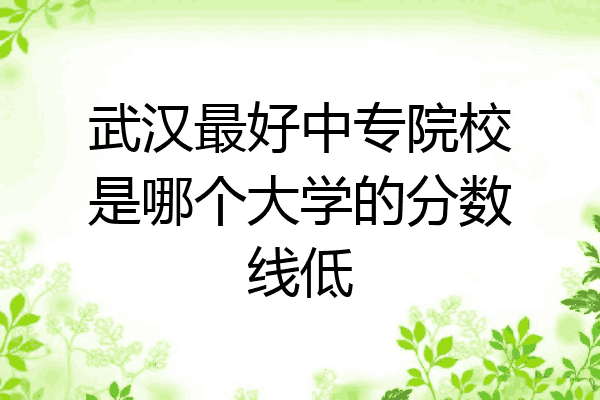 武汉最好中专院校是哪个大学的分数线低