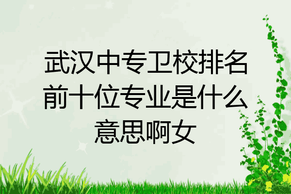 武汉中专卫校排名前十位专业是什么意思啊女