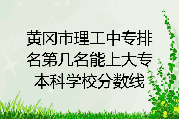 黄冈市理工中专排名第几名能上大专本科学校分数线
