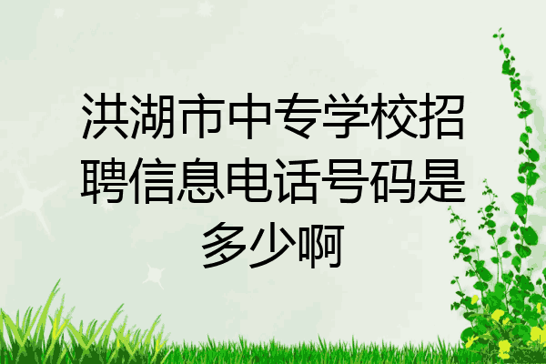 洪湖市中专学校招聘信息电话号码是多少啊