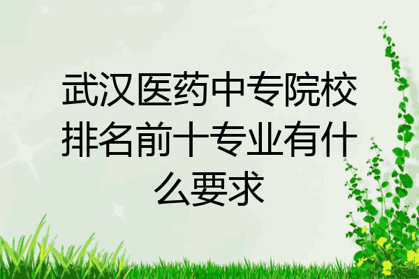 武汉医药中专院校排名前十专业有什么要求