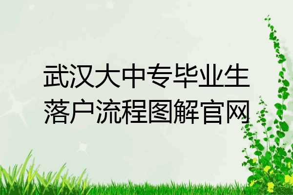 武汉大中专毕业生落户流程图解官网