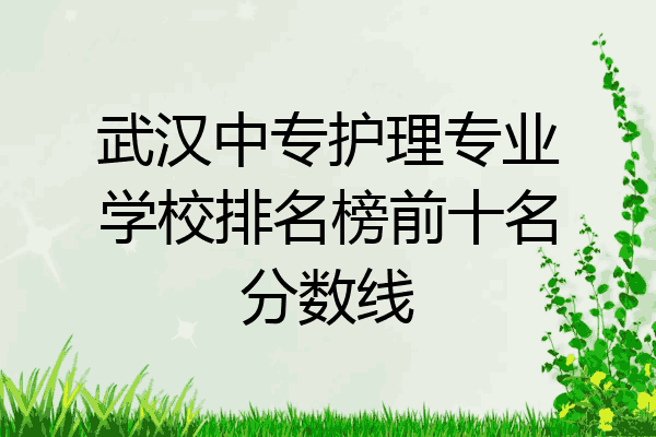 武汉中专护理专业学校排名榜前十名分数线