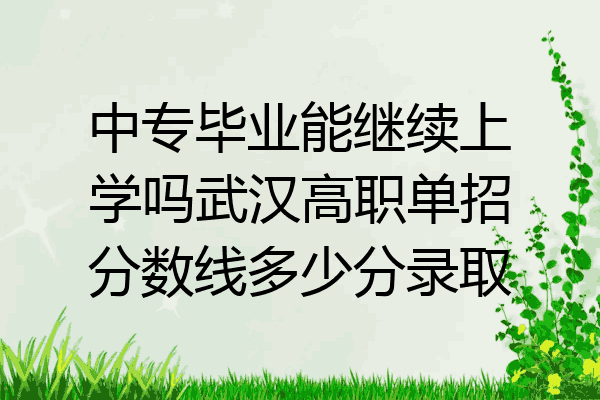 中专毕业能继续上学吗武汉高职单招分数线多少分录取