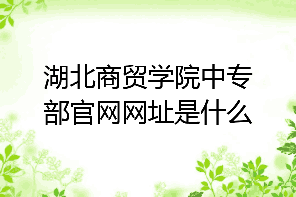 湖北商贸学院中专部官网网址是什么