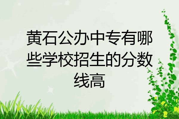 黄石公办中专有哪些学校招生的分数线高