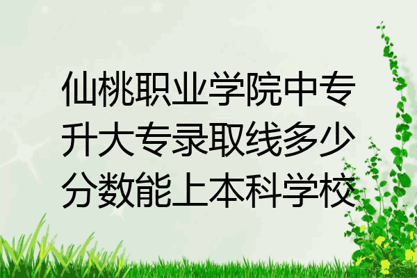 仙桃职业学院中专升大专录取线多少分数能上本科学校