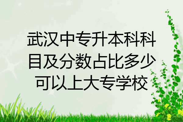 武汉中专升本科科目及分数占比多少可以上大专学校