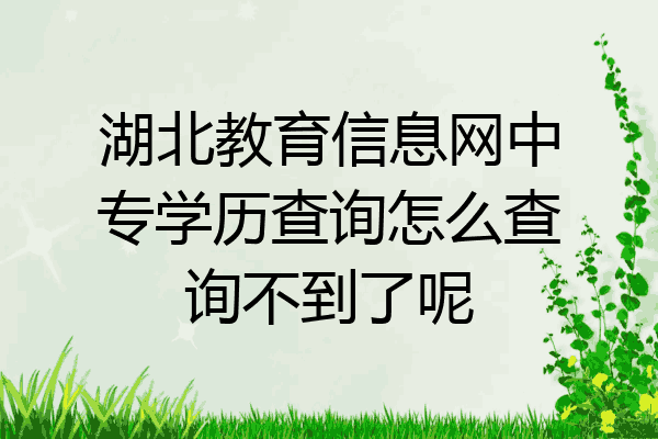 湖北教育信息网中专学历查询怎么查询不到了呢