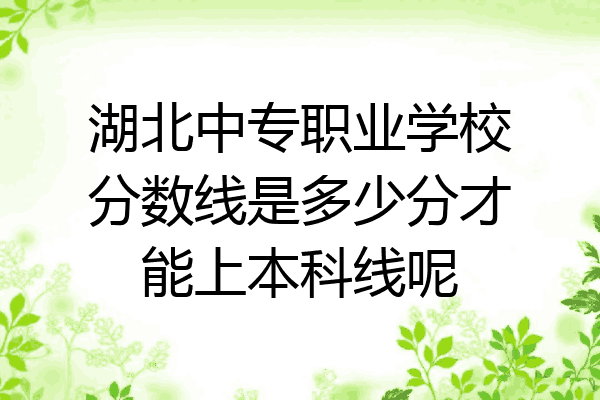 湖北中专职业学校分数线是多少分才能上本科线呢