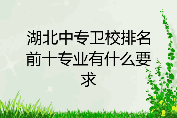 湖北中专卫校排名前十专业有什么要求