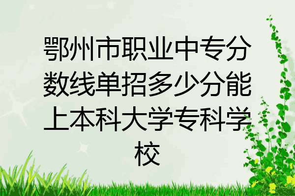 鄂州市职业中专分数线单招多少分能上本科大学专科学校