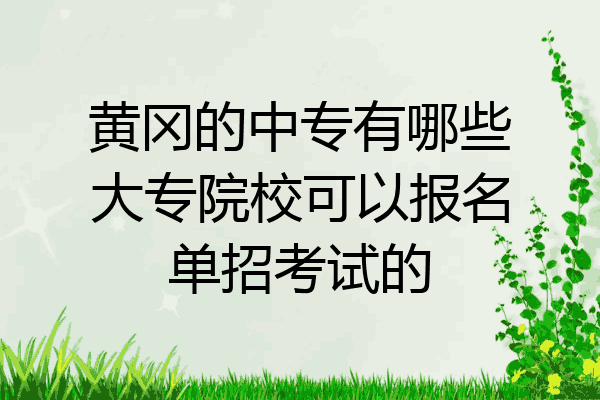 黄冈的中专有哪些大专院校可以报名单招考试的