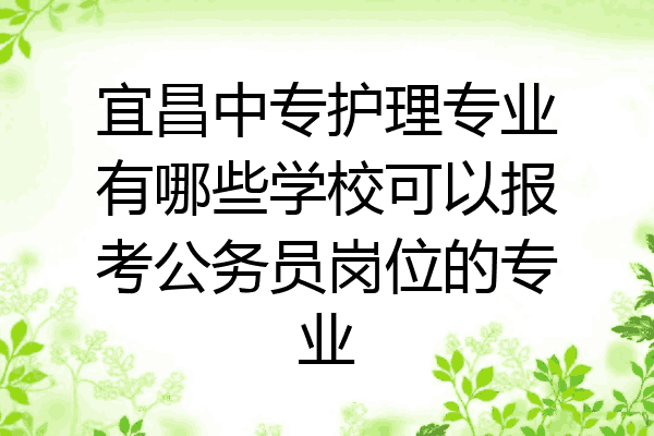 宜昌中专护理专业有哪些学校可以报考公务员岗位的专业