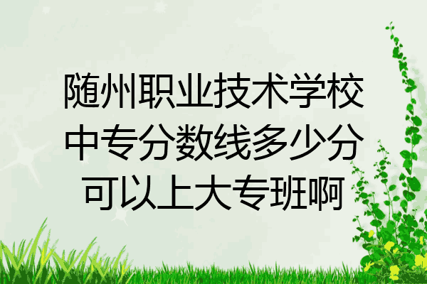 随州职业技术学校中专分数线多少分可以上大专班啊