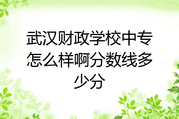 武汉财政学校中专怎么样啊分数线多少分