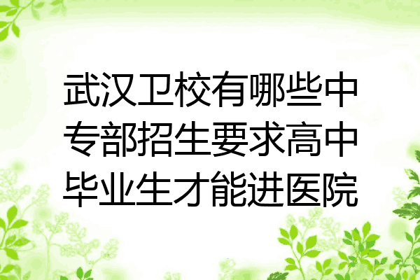 武汉卫校有哪些中专部招生要求高中毕业生才能进医院