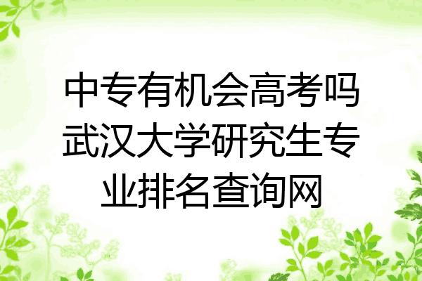 中专有机会高考吗武汉大学研究生专业排名查询网