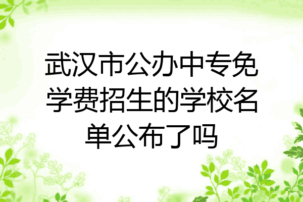 武汉市公办中专免学费招生的学校名单公布了吗