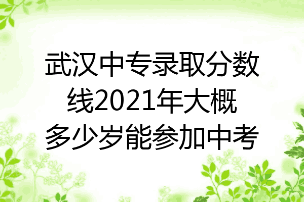 武汉中专录取分数线2021年大概多少岁能参加中考