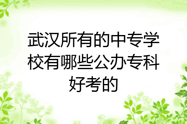 武汉所有的中专学校有哪些公办专科好考的