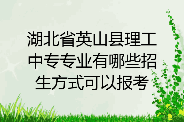 湖北省英山县理工中专专业有哪些招生方式可以报考