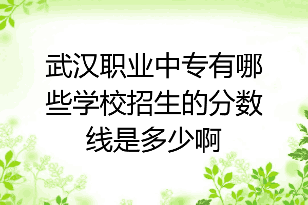 武汉职业中专有哪些学校招生的分数线是多少啊