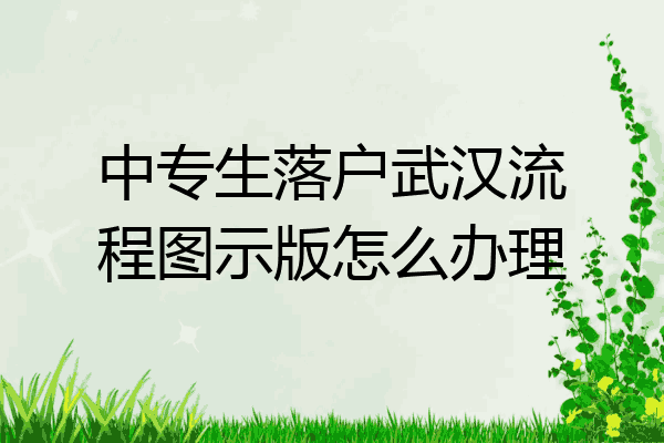 中专生落户武汉流程图示版怎么办理