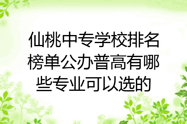 仙桃中专学校排名榜单公办普高有哪些专业可以选的