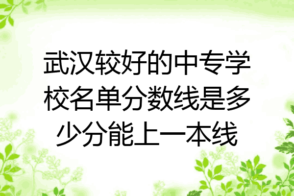 武汉较好的中专学校名单分数线是多少分能上一本线