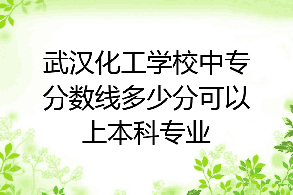 武汉化工学校中专分数线多少分可以上本科专业