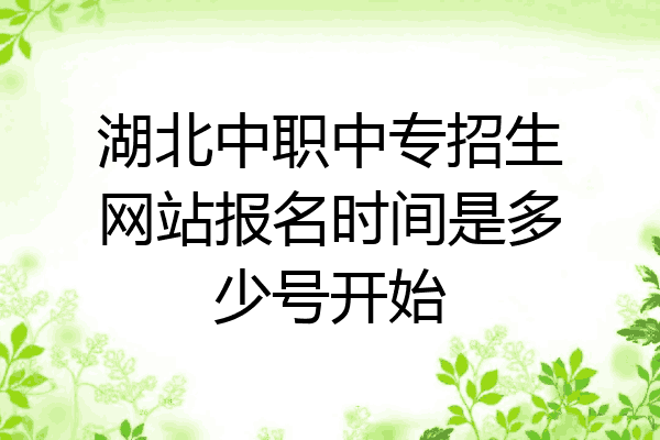湖北中职中专招生网站报名时间是多少号开始