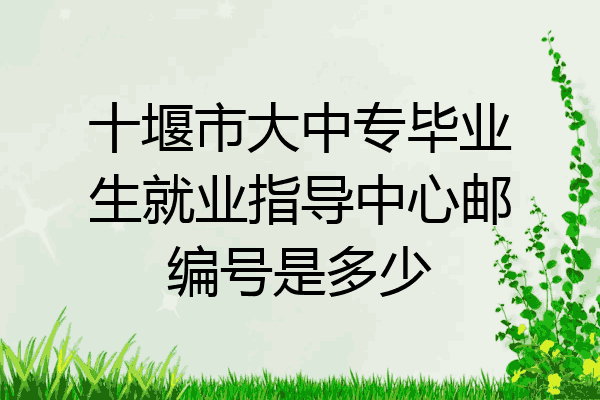 十堰市大中专毕业生就业指导中心邮编号是多少