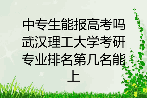 中专生能报高考吗武汉理工大学考研专业排名第几名能上