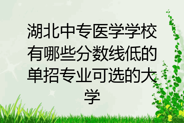 湖北中专医学学校有哪些分数线低的单招专业可选的大学