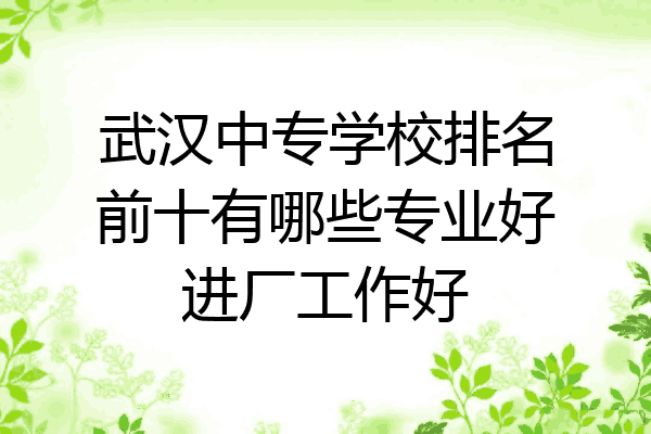 武汉中专学校排名前十有哪些专业好进厂工作好
