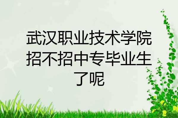 武汉职业技术学院招不招中专毕业生了呢
