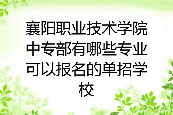 襄阳职业技术学院中专部有哪些专业可以报名的单招学校