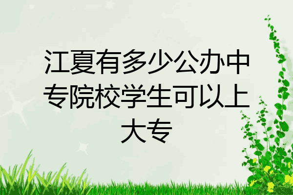 江夏有多少公办中专院校学生可以上大专