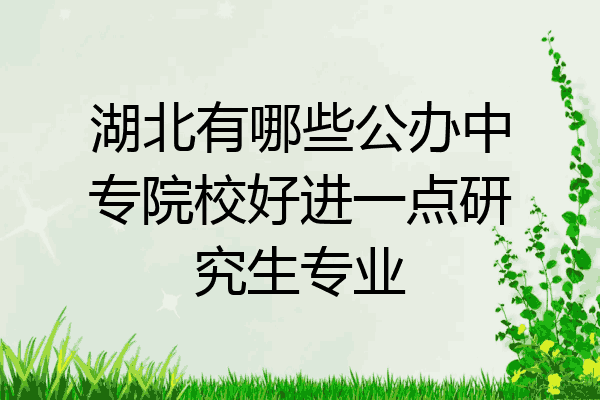 湖北有哪些公办中专院校好进一点研究生专业